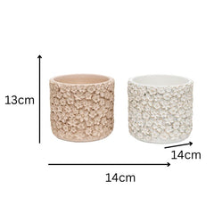 Set 2 Asst Flower Embossed Planters w Hole + Plug 18cm