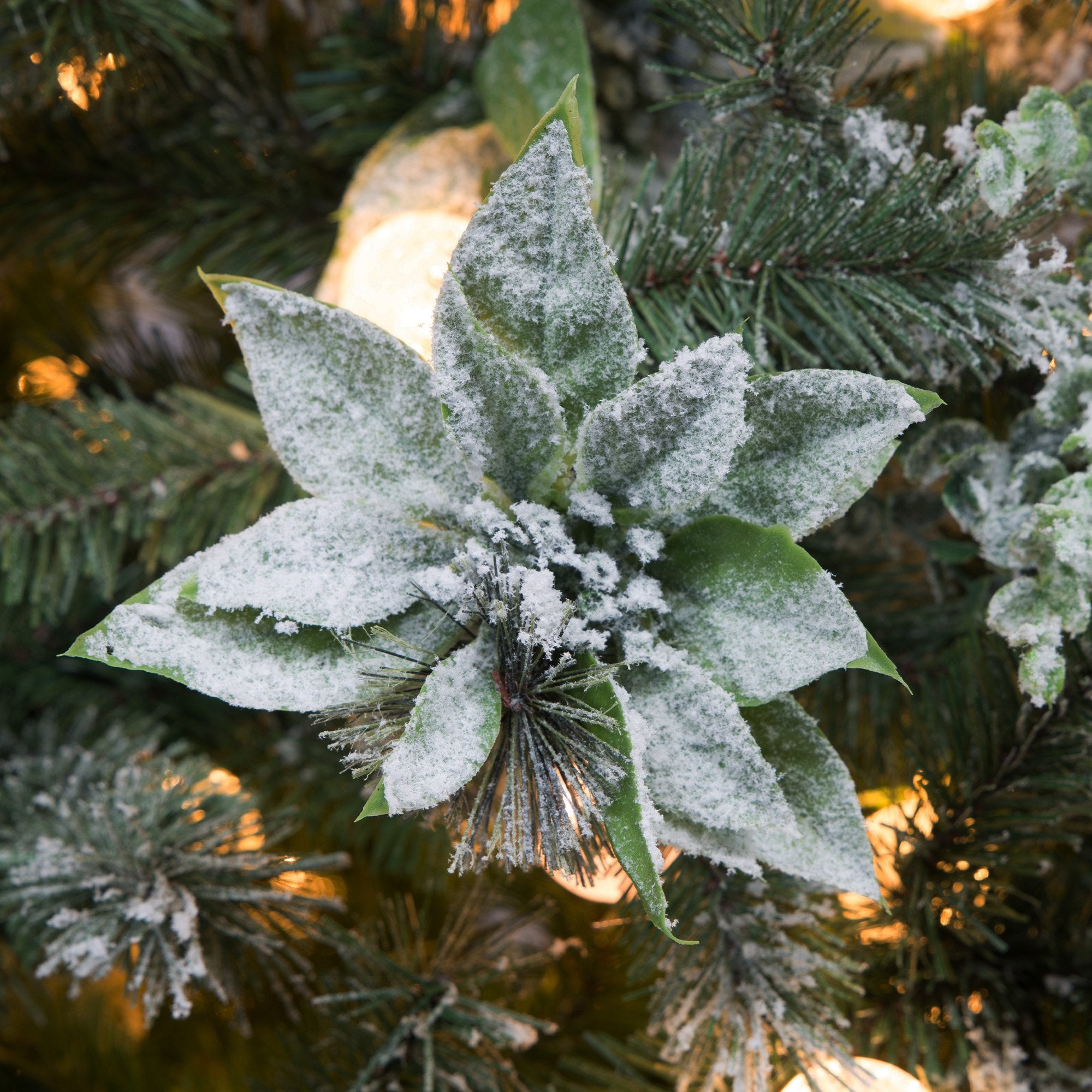 Christabelle Snowy Crown Pine 2.7m Multicolour Pre-Lit Christmas Tree with 2429 Tips