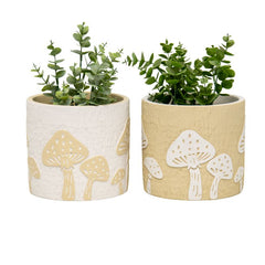 Set 2 Asst Mushroom Planters w Hole + Plug 17cm