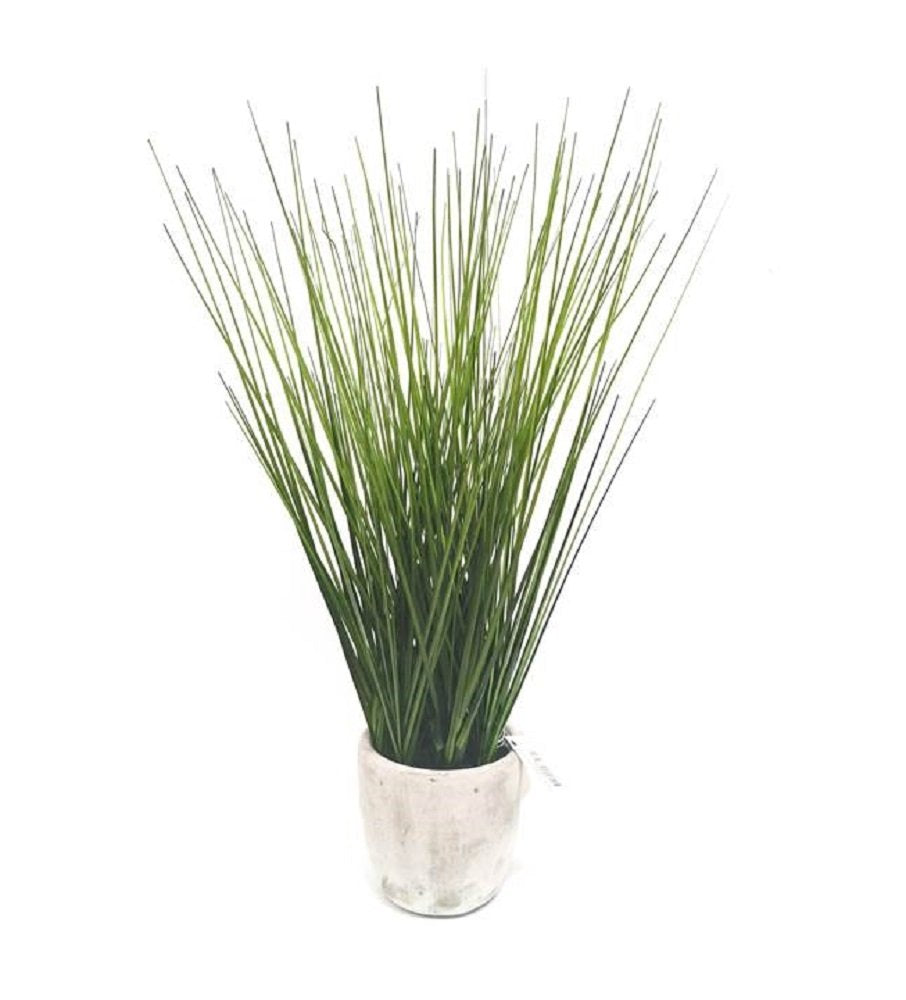 Artificial Grass in cement vase